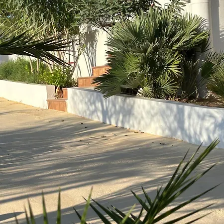 Oasi Di Casablanca