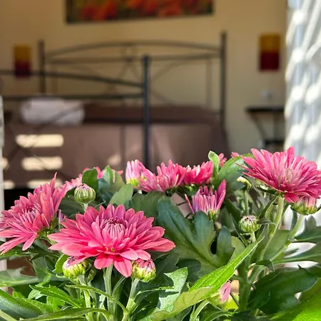 Hotel Oasi Di Casablanca Lampedusa