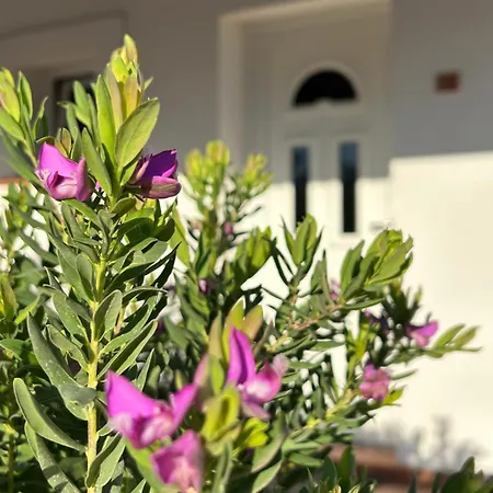 Oasi Di Casablanca Hotel Lampedusa