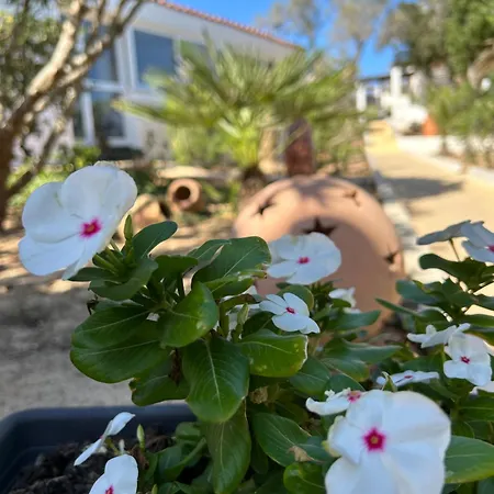 Oasi Di Casablanca Lampedusa