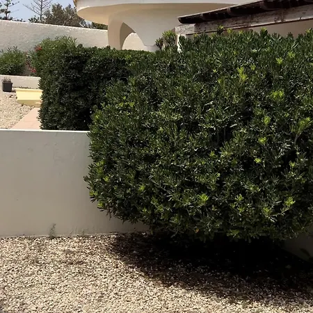 Oasi Di Casablanca Hotel