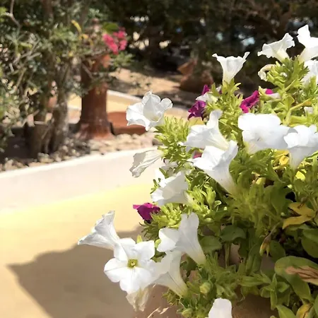 Oasi Di Casablanca 3* Lampedusa