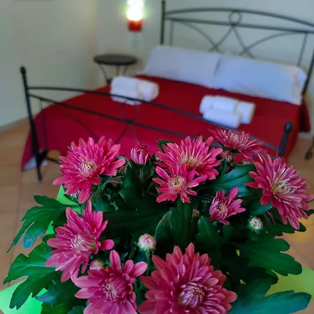 Oasi Di Casablanca 3* Lampedusa