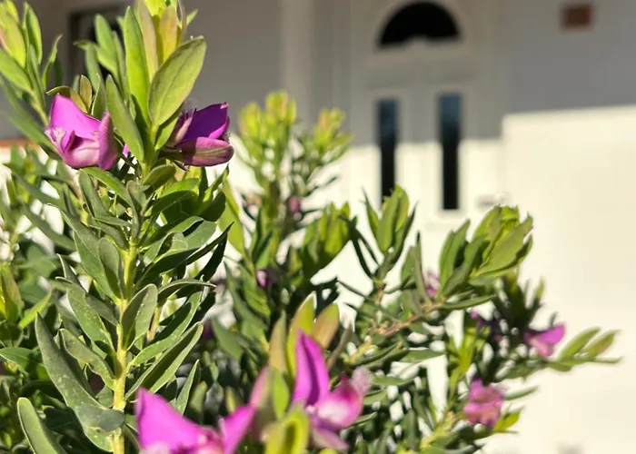 Oasi Di Casablanca Hotel Lampedusa