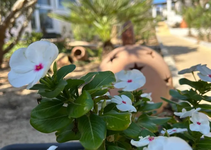 Oasi Di Casablanca Lampedusa