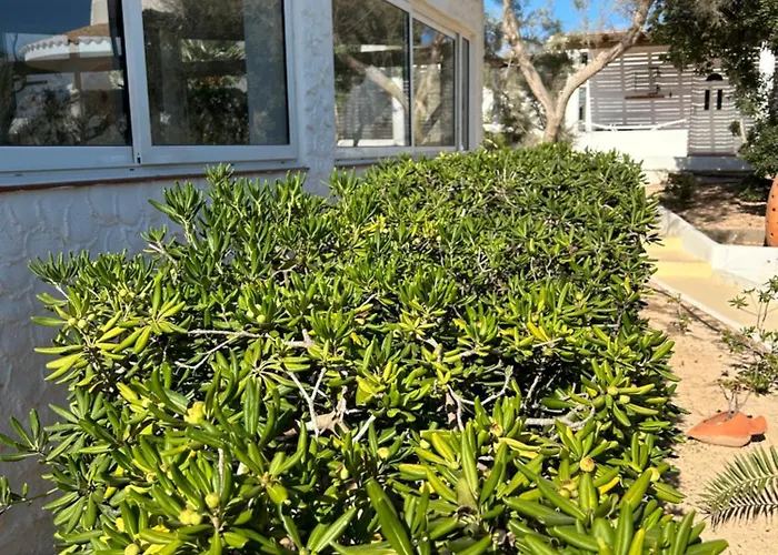 Oasi Di Casablanca 3* Lampedusa