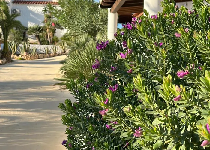 Oasi Di Casablanca Hotel Lampedusa