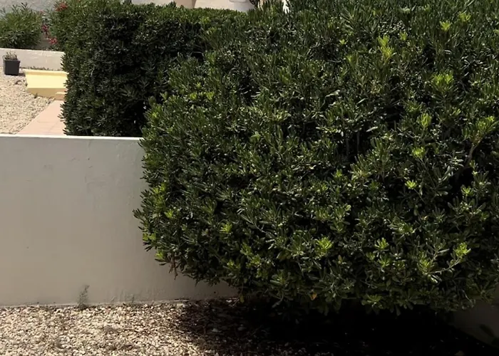 Oasi Di Casablanca Hotel